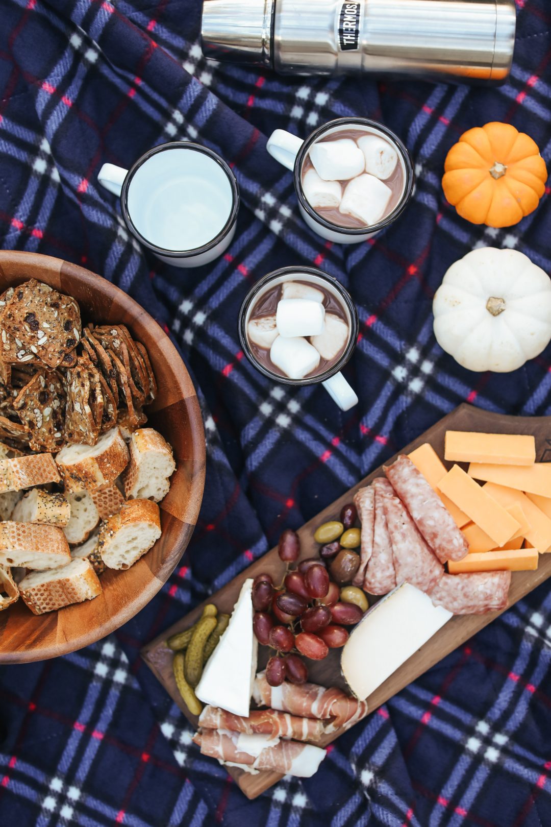 A Friendsgiving Picnic with Help from Uber.